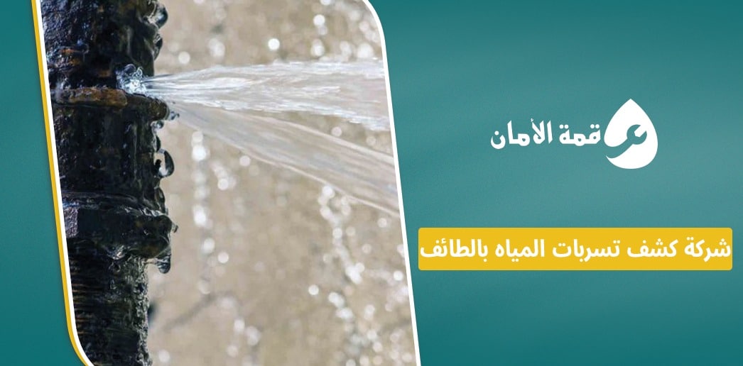 شركة كشف تسربات المياه بالطائف