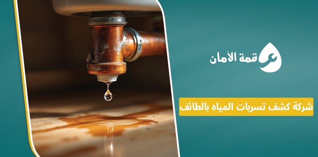 شركة كشف تسربات المياه بالطائف