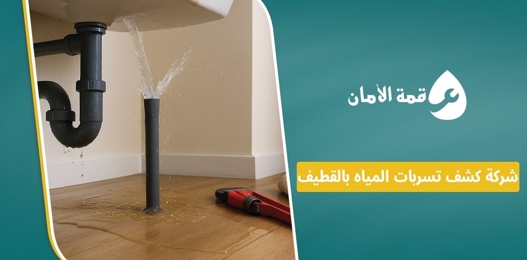 شركة كشف تسربات المياه بالقطيف