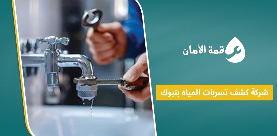 شركة كشف تسربات المياه بتبوك